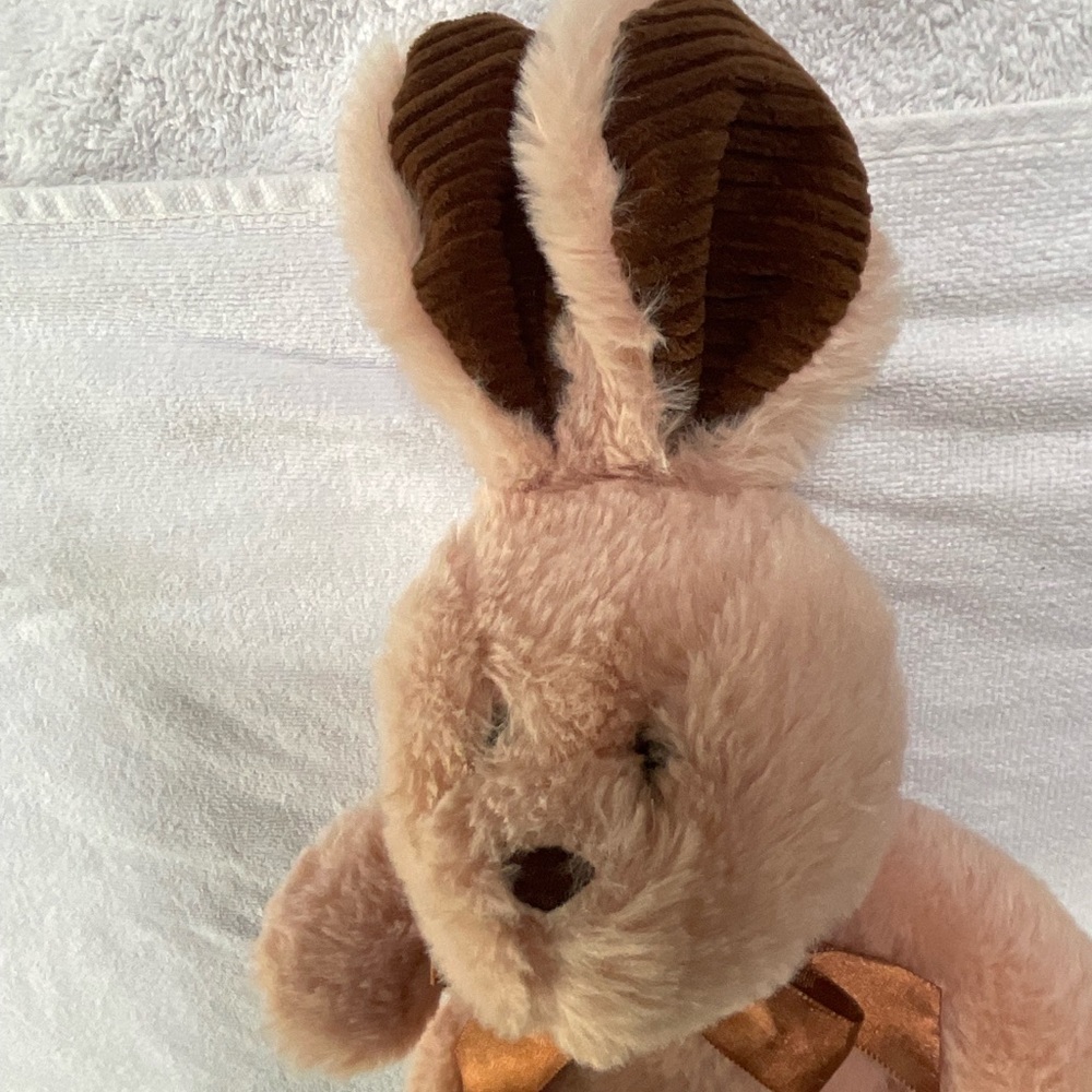 HUG FUN BUNNY PLUSH STUFFED ANIMAL 12” RABBIT SPORTS TOY LOVIE